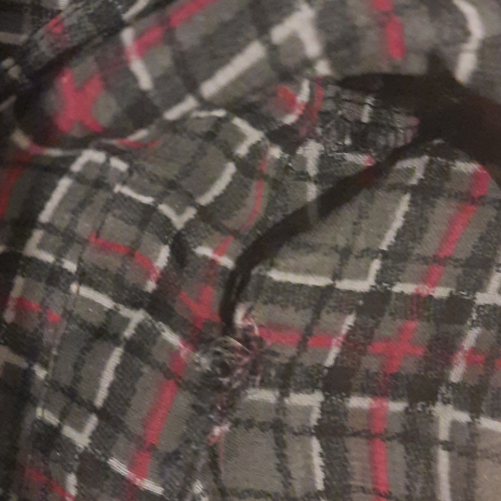 Sheer blouse‎ - Picture 7 of 8